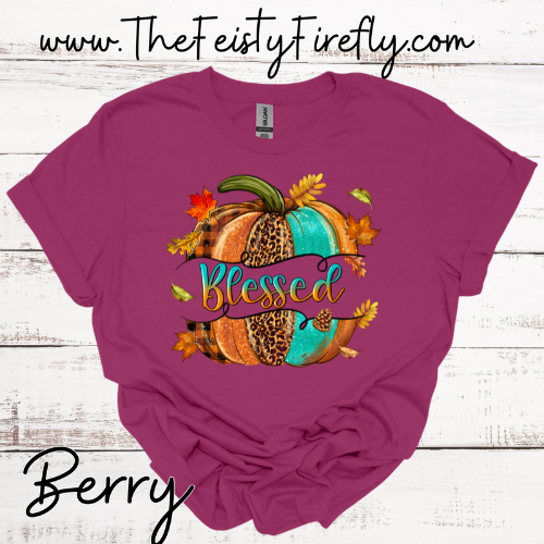 Blessed-T-Shirt (Adult Sizes)