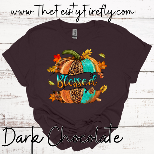 Blessed-T-Shirt (Adult Sizes)