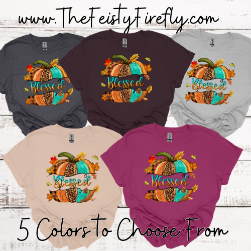 Blessed-T-Shirt (Adult Sizes)